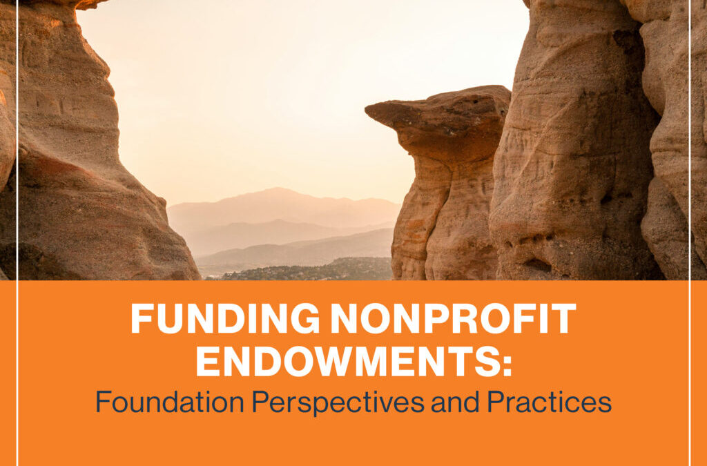 Funding Nonprofit Endowments: Foundation Perspectives and Practices