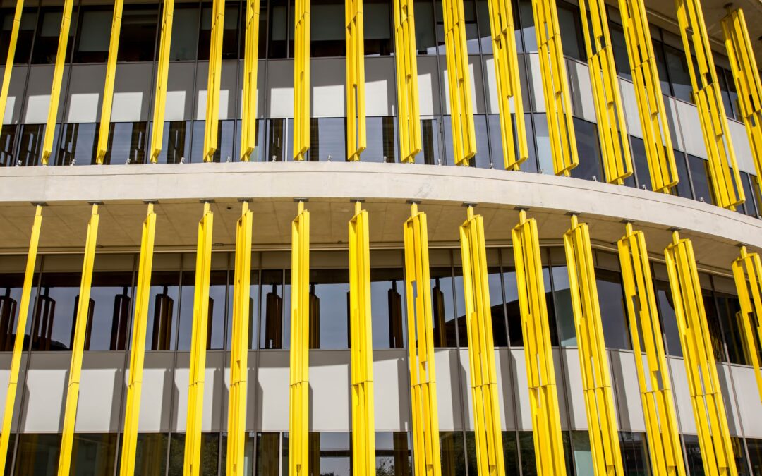 Multiyear, Flexible Funding and Knowledge Creation: Argidius’ Recipe for Supporting EntrepreneurshipNatalia Kiryttopoulou Lead for Global Assessment and Advisory Services