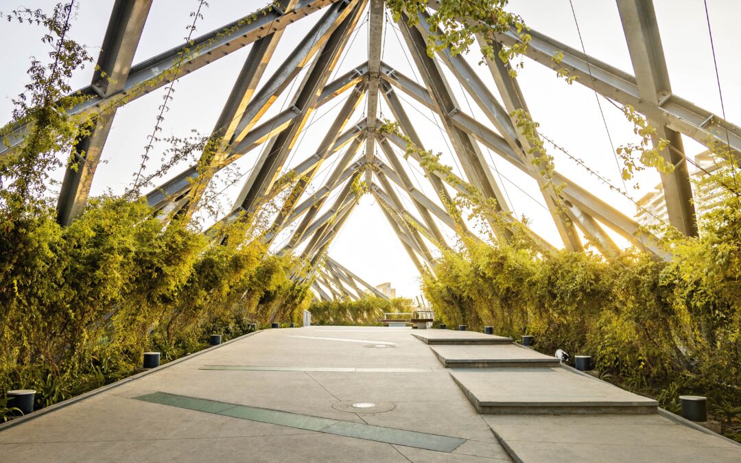 Beyond-the-Grant Support: Shifting Philanthropic Practice Toward Care and Deeper PartnershipLaura Bacon Former Director, Partner Support, Luminate