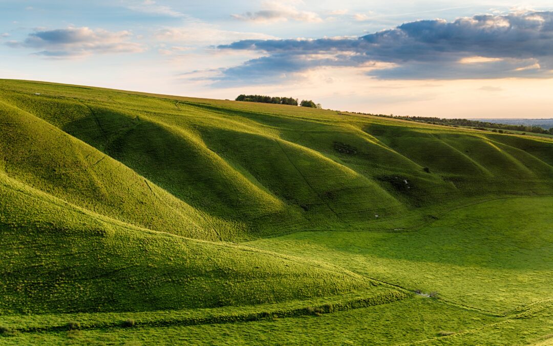 Reimagining Reporting, Part 2: Sharing the VisionAlice Mei Manager, Assessment and Advisory Services, CEP