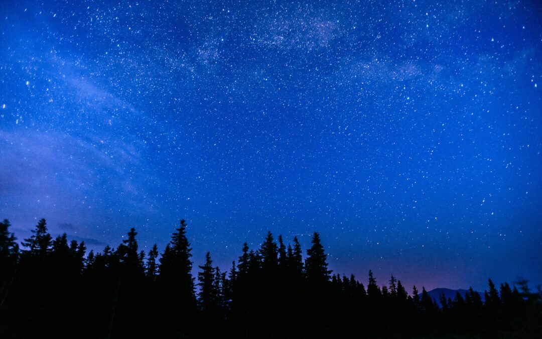 A Message for Philanthropy in the 2025 Giving SeasonPhil Buchanan President, CEP