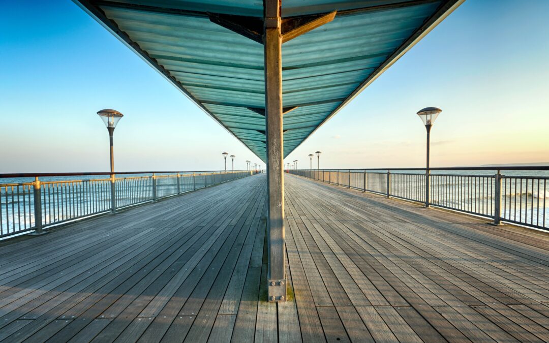 The Gift That Keeps on Giving: Wallis Annenberg’s Blueprint for Legacy PlanningAradhna Malhotra Oliphant Chief Operations and Strategy Officer, Wallis Annenberg Legacy Foundation