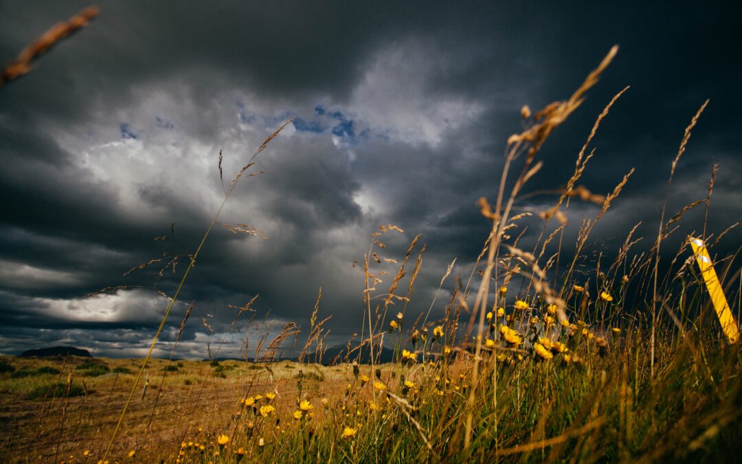 New Data Reveals a Sector in Crisis, But Steadfastly Mission-FocusedEllie Buteau, Ph.D. Director of Research Projects and Special Advisor on Research Methodology and Analysis, CEPSeara Grundhoefer Analyst, Research