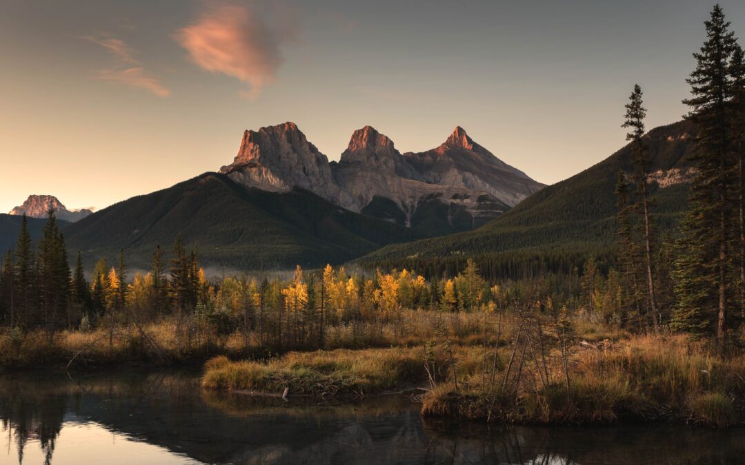 Three Misconceptions Impeding More Action from FundersPhil Buchanan President, CEP