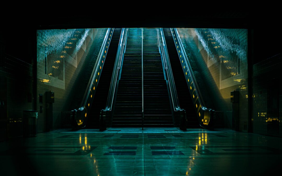 A Constitutional and Moral Reckoning: The Opportunity for a Third Founding — And Philanthropy’s RoleShelley Trott Executive Director, Kenneth Rainin Foundation