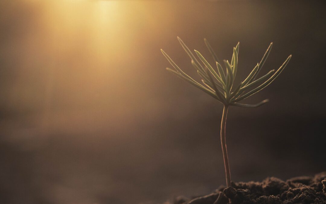 Why Collaborative Funds Give Me Hope Right NowJehan Velji Director, Effective Philanthropy Group, William and Flora Hewlett Foundation