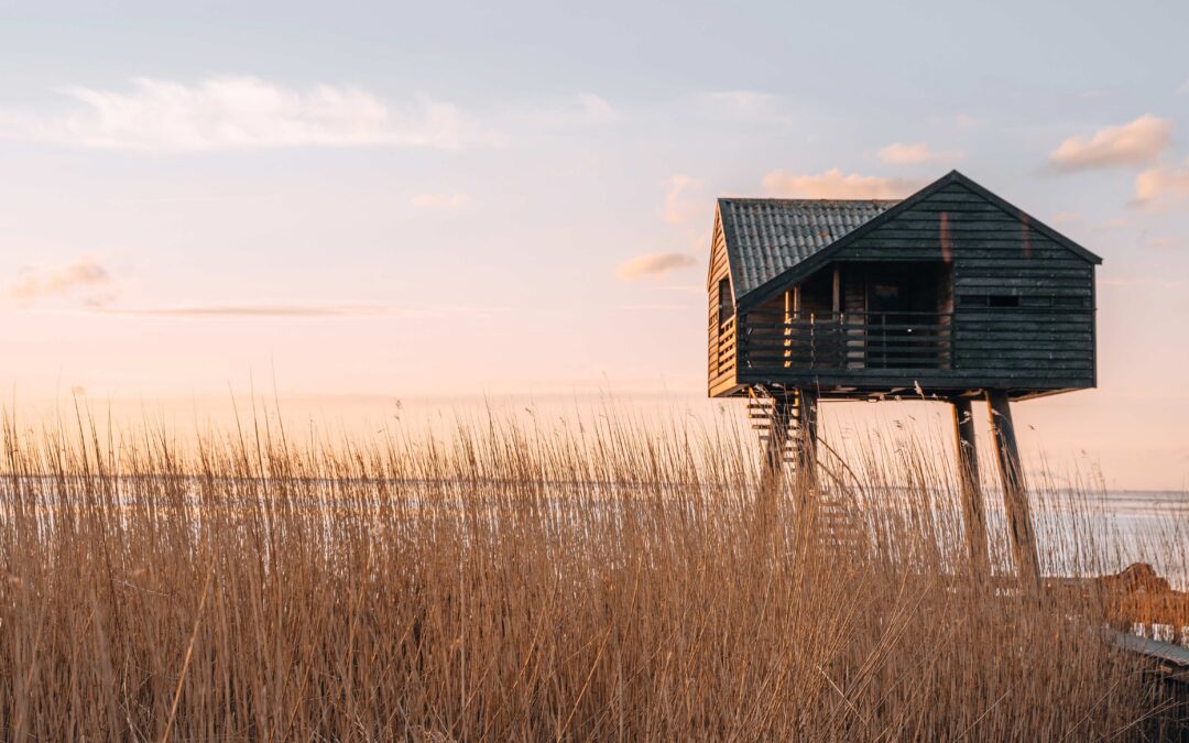 A Call for Higher Payout from a Believer in Perpetual FoundationsPhil Buchanan President, CEP