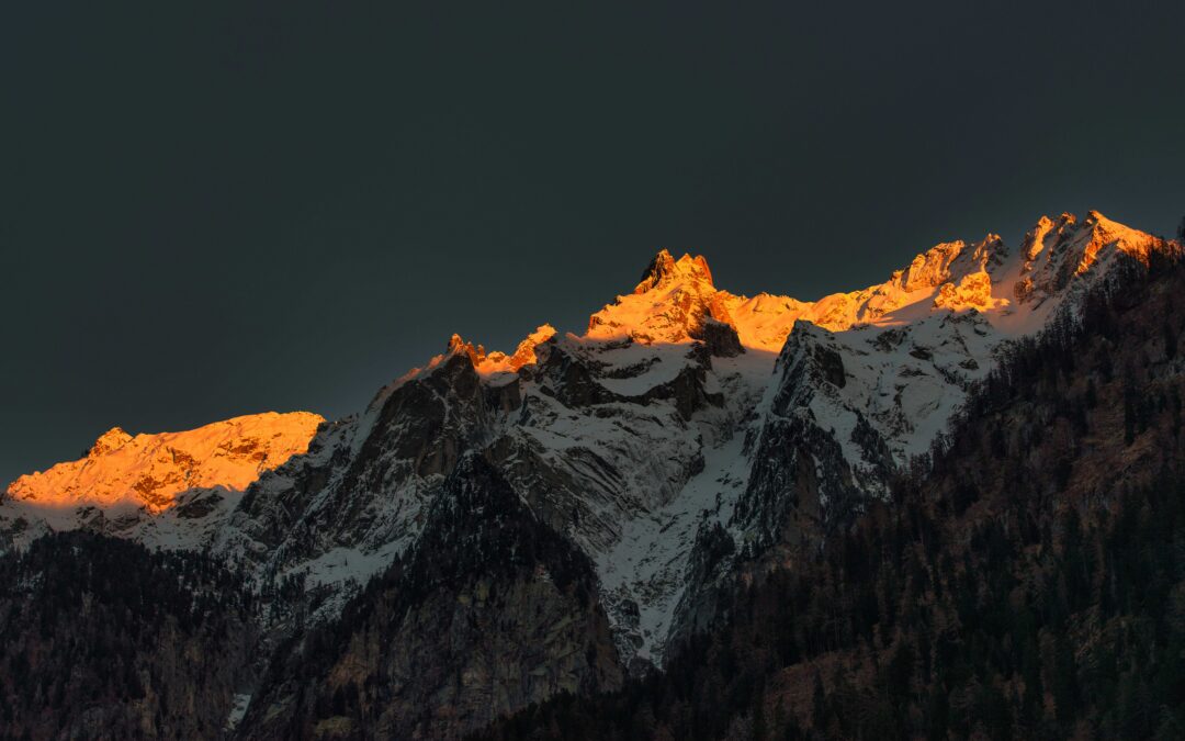 Foundation Governance Today and Tomorrow: Shifting the Mindset from Managing Crises to Long-Term TransformationHanna Stähle Head of Foresight and Innovation, Philea - Philanthropy Europe Association