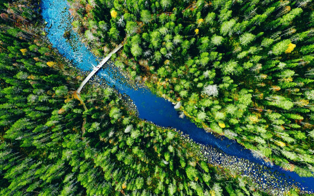 From Belief to Practice: Why Multiyear Flexible Funding Still Lags Behind ConsensusHannah Smith Manager, Editorial and Publications, Exponent Philanthropy