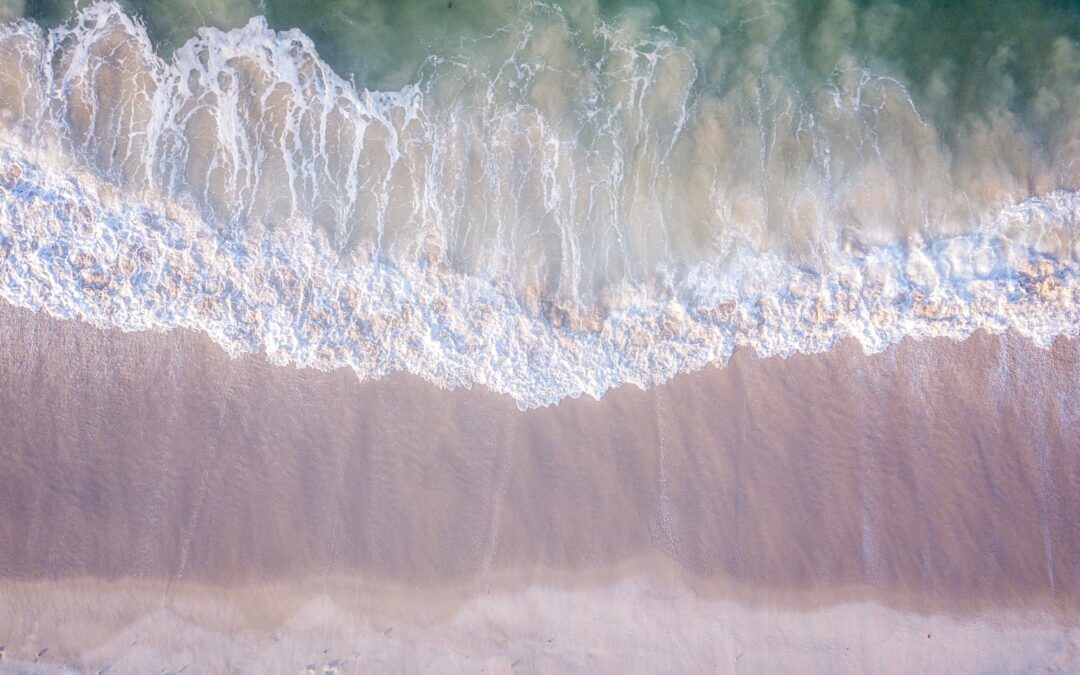 The Tidal Foundation: Unmooring Philanthropy From Perpetuity Versus Spend DownRickke Mananzala President, New York FoundationCarmen Rojas, Ph.D. President and CEO, Marguerite Casey Foundation